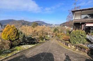 Haus kaufen in 69250 Schönau, Freistehendes Haus auf großem Grundstück in Schönau( Altneudorf)