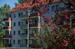 Wohnung mieten in Knielohstraße 53, 08527 Plauen, wohnen und wohlfühlen