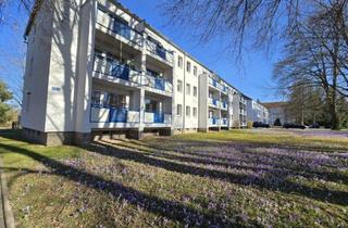 Wohnung mieten in Nestlerstr. 13, 09117 Chemnitz, Schöne neu renoviert Wohnung in Reichenbrand...