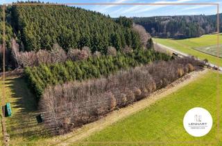 Anlageobjekt in 86381 Krumbach, **Junger Mischwald in Niederraunau*Erstaufforstung 2013*Gute Zugänglichkeit**