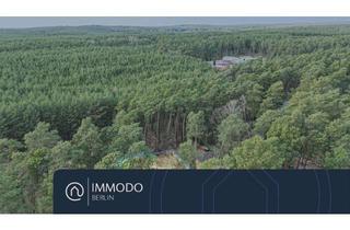 Grundstück zu kaufen in 14476 Groß Glienicke, Seltenes Traum-Grundstück in Groß Glienicke! - 804 m² mit Waldblick & Baugenehmigung nahe 2 Seen