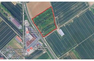 Grundstück zu kaufen in 65760 Eschborn, Große Ausgleichsfläche / landwirtschaftliche Fläche