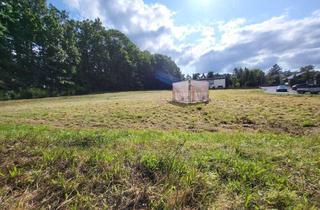 Grundstück zu kaufen in Lerchenpfad, 53894 Mechernich, Traumgrundstück in Kommern-Süd