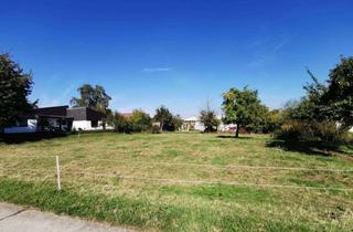 Grundstück zu kaufen in 69436 Schönbrunn, Traumhaft schönes und großes, erschlossenes Baugrundstück mit Planung in Moosbrunn