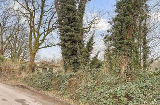 Gewerbeimmobilie kaufen in 46499 Hamminkeln, Naturnahes Freizeitgrundstück in Hamminkeln