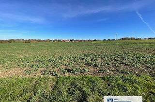 Gewerbeimmobilie kaufen in 33178 Borchen, Landwirtschaftliche Fläche