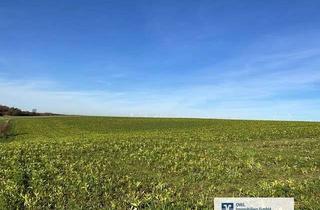 Gewerbeimmobilie kaufen in 33178 Borchen, Landwirtschaftliche Fläche