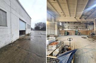 Geschäftslokal mieten in 04319 Leipzig, Kalt-Lagerhalle mit 2 elektr. Rolltoren, fast pfeilerfrei - zus. Freifläche möglich