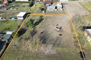 Grundstück zu kaufen in 17179 Dalwitz, Großes Grundstück zum kleinen Preis!