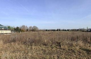 Grundstück zu kaufen in 03238 Finsterwalde, Provisionsfrei: 2.482 m² vollerschlossenes Baugrundstück in Finsterwalde
