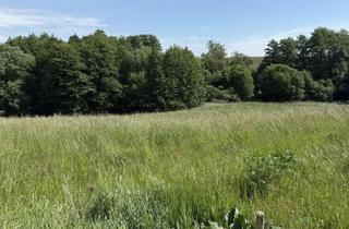 Grundstück zu kaufen in 19217 Rehna, Feldrandlage mit Weitblick – 1.292 m² Baugrundstück in Gletzow bei Rehna