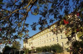 Wohnung mieten in Ernst-Thälmann-Str. 10, 08496 Neumark, Komplett modernisierte 2-Raum-WE in Neumark