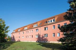 Wohnung kaufen in 16244 Schorfheide, 2-Zimmer-Wohnung im Norden Berlins, mit 2 Stellplätzen - Handwerkerobjekt