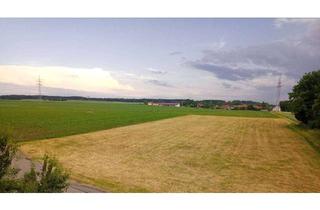 Wohnung mieten in Mohrenweg, 85457 Wörth, Sonnige 3-Zimmer DG Wohnung mit Blick in die Natur, Wörth bei Erding