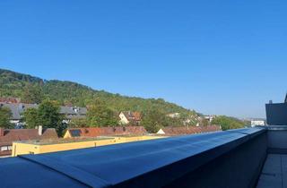 Penthouse mieten in Ulmer Straße 264, 70327 Wangen, Wohnen über den Dächern: Stilvolles-Penthouse in Stuttgart-Wangen