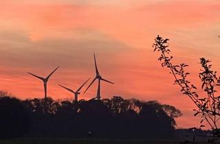 Haus kaufen in 48612 Horstmar, Bien-Zenker EDITION 145 - Ihr neues Traumhaus in Beckum