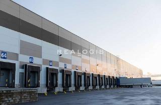 Gewerbeimmobilie mieten in 14979 Großbeeren, Provisionsfrei - Moderne Halle nahe der A10!