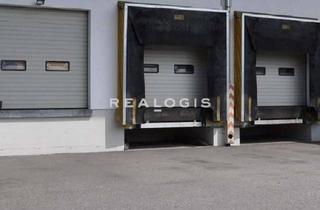 Gewerbeimmobilie mieten in 14979 Großbeeren, Lager- und Produktionshalle nahe der A10!