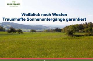 Grundstück zu kaufen in Eschlmais, 93449 Waldmünchen, 1,1 ha Freiheit im Bayerischen Wald: Seit 20 Jahren naturbelassen mit Quellwasser