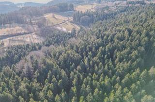 Grundstück zu kaufen in Wahdorf, 94353 Haibach, Waldfläche in Bestlage: Über 64.000 m² forstwirtschaftliches Potenzial