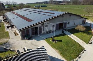 Immobilie kaufen in 49477 Ibbenbüren, Reitanlage in Ibbenbüren