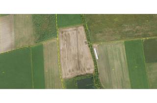 Gewerbeimmobilie kaufen in 85123 Karlskron, 2,29 ha Ackerland im Landkreis Neuburg - Schrobenhausen, Karlskron