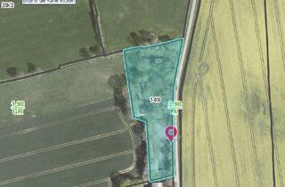 Immobilie kaufen in 24401 Böel, Einzigartige Lage im Außenbereich – Gestaltungspotenzial für Ihr individuelles Wohnprojekt