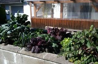 Einfamilienhaus kaufen in 94032 Passau, Passau - Energieautarkes Haus mit Selbstversorgergarten