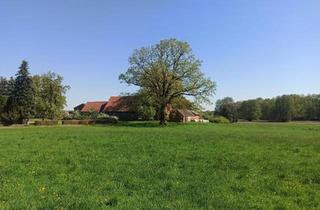 Bauernhaus kaufen in 29465 Schnega, Schnega - Ehemalige landwirtschaftliche Hofstelle