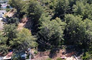 Haus kaufen in 69437 Neckargerach, Neckargerach - Naturgrundstück mit Containerhaus Meer - Marmaris sö-287-üt