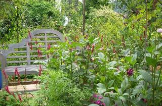 Haus kaufen in 79263 Simonswald, Simonswald - Liebevolles Zuhause