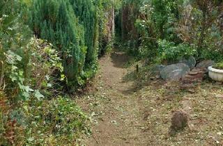 Haus kaufen in 67749 Offenbach-Hundheim, Offenbach-Hundheim - verwildertes Grundstück, Bauplatz, kleines Haus