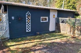 Haus kaufen in 49429 Visbek, Visbek - Ferienhaus