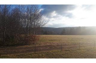 Wohnung kaufen in 72250 Freudenstadt, Freudenstadt - Sonnige Eigentumswohnung Karl von Hahnstr 113