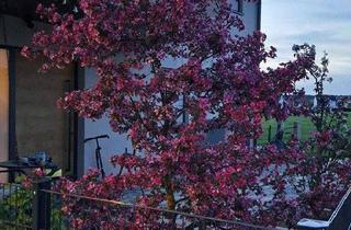 Einfamilienhaus kaufen in 91094 Langensendelbach, Langensendelbach - Freistehendes Einfamilienhaus Ortsrandlage