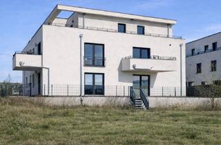 Wohnung kaufen in 69514 Laudenbach, Provisionsfrei: Neuwertige 3-Zimmer-Wohnung in Feldrandlage