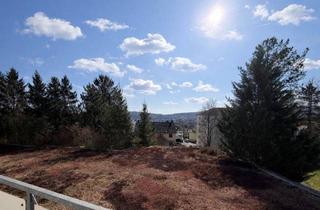 Wohnung mieten in Kantstraße, 65232 Taunusstein, Sanierte 2 Zimmer Wohnung mit Süd-Balkon & Traumblick über Taunusstein-Hahn