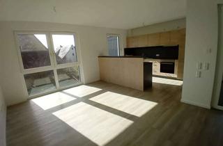 Wohnung mieten in Schulstraße, 71159 Mötzingen, Wohnung Nr. 11 im Senioren-Wohnen Mötzingen