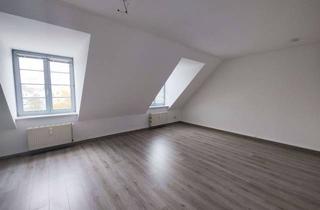 Wohnung mieten in Dr. Albanstrasse 24, 19395 Plau, Dachgeschoßstudio mit Spitzboden