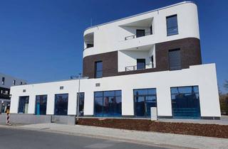 Wohnung mieten in Bahnhofstraße 191, 61184 Karben, Attraktive 4-Zimmer Neubauwohnung in der Neuen Mitte Karben