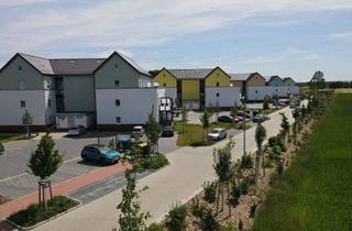 Penthouse mieten in An Der Pferdekoppel 10, 30926 Seelze, Lichtdurchflutetes Penthouse mit großer Dachterrasse in Dedensen - ID: 029