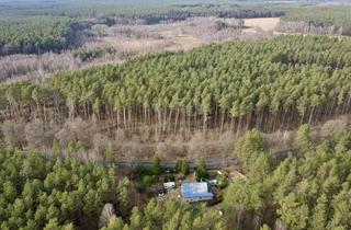 Einfamilienhaus kaufen in 17252 Roggentin, in Alleinlage: Einfamilienhaus in Sanierung möchte fertig gestellt werden, vieles ist vorbereitet