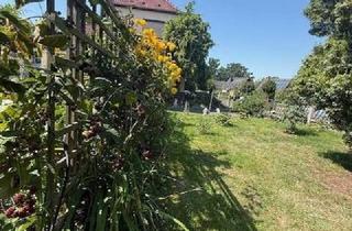 Doppelhaushälfte kaufen in 04451 Borsdorf, Doppelhaushälfte mit riesigem Grundstück in Borsdorf bei Leipzig