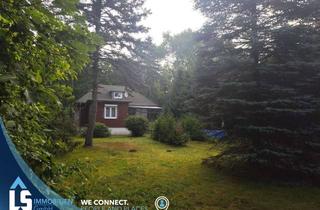 Haus kaufen in 16945 Marienfließ, "Charmantes Zuhause - Ruhige Lage inmitten der Natur!"