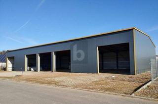 Gewerbeimmobilie kaufen in 87784 Westerheim, NEUBAU NACH IHREN ANFORDERUNGEN