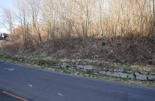 Grundstück zu kaufen in 97769 Bad Brückenau, großzügiges Baugrundstück in Bad Brückenau