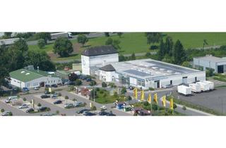 Gewerbeimmobilie kaufen in Industriestr. 12a, 14, 54634 Bitburg, Zwei attraktive Gewerbeimmobilien in Bitburg (nur im Paket)