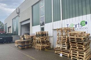 Büro zu mieten in 74172 Neckarsulm, Lager-/Produktionsflächen mit Büro und Freifläche in 74172 Neckarsulm (Objekt 013/33-b)