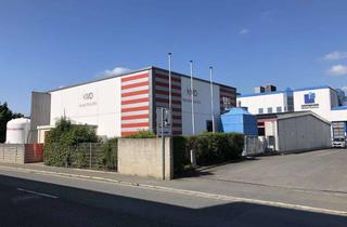Büro zu mieten in E.c.-Baumann-Straße, 95326 Kulmbach, Flexible Halle mit Bürofläche für Produktion oder als Werkstatt