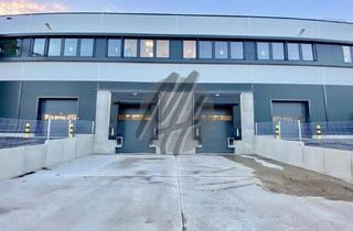 Büro zu mieten in 65428 Rüsselsheim, KEINE PROVISION ✓ NEUBAU / ERSTBEZUG ✓ 24/7 ✓ WGK ✓ Lager-/Logistik (6.000 m²) & Büro (500 m²)